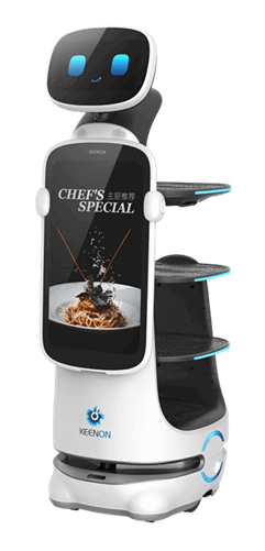 Dinerbot T10