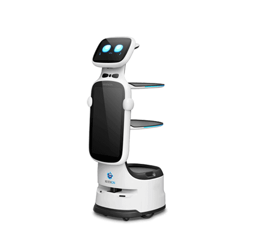 Dinerbot T11